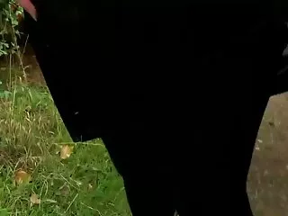 বড়ো বুকের মেয়ের বাংলা xx ভিডিও