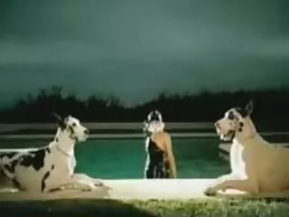 স্বামী নতুন বাংলা xx ও স্ত্রী
