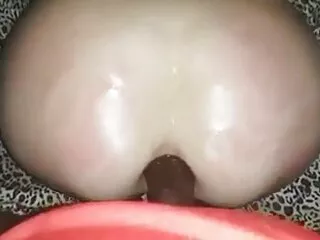 অভিন্ন, অফিস, বাংলা xx x এশিয়ান